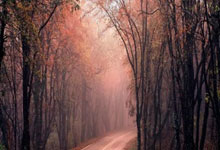 股票里杠杆是什么意思:如何用杠杆炒股赚钱-司尔特被证监会立案！公司涉嫌信息披露违法违规